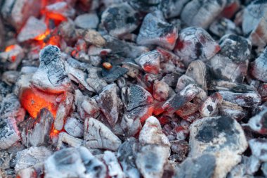 Barbekü piknik için kömür ayrıntılarını