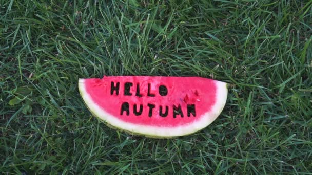 Skiva vattenmelon på en bakgrund av grönt gräs. skiva vattenmelon med texten Hej höst. Höst tids konceptet. — Stockvideo