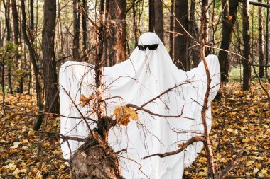 Ormanda neşeli bir hayalet. Cadılar Bayramı.