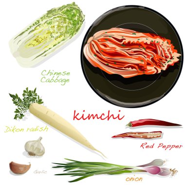 Kimchi, geleneksel Kore yemeği. Resimde beyaz. Kimchi için malzemeler.