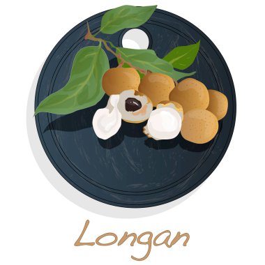 Longan, Dimocarpus longan. Beyaz arka plan üzerinde çanak Longan vektör illüstrasyon izole.