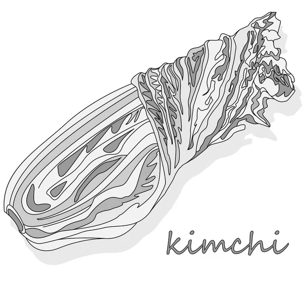 Кимчи Традиційне Корейське Продовольство Ілюстрації Білому — стоковий вектор
