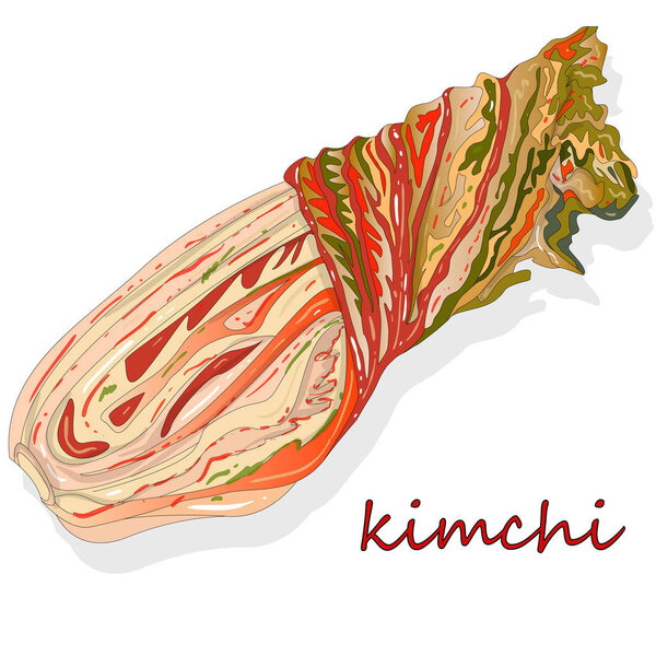 Kimchi, traditional korean food. Illustration on white.