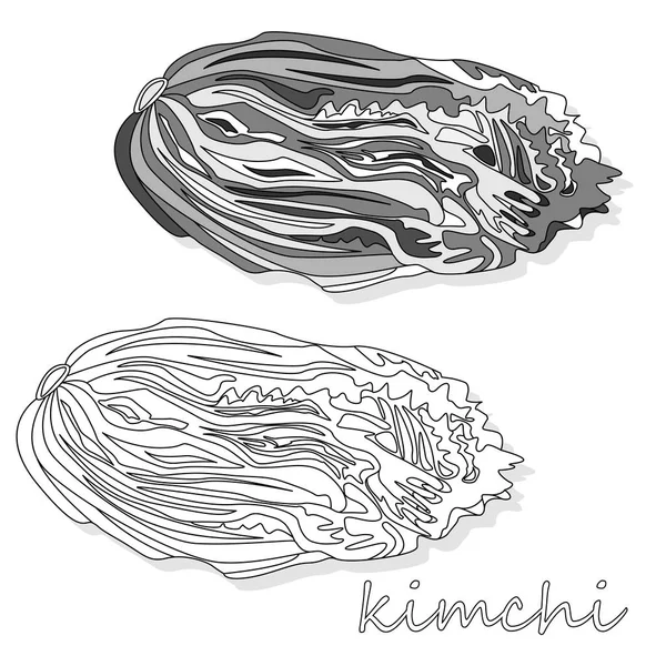 Kimchi Comida Tradicional Coreana Ilustração Sobre Branco —  Vetores de Stock