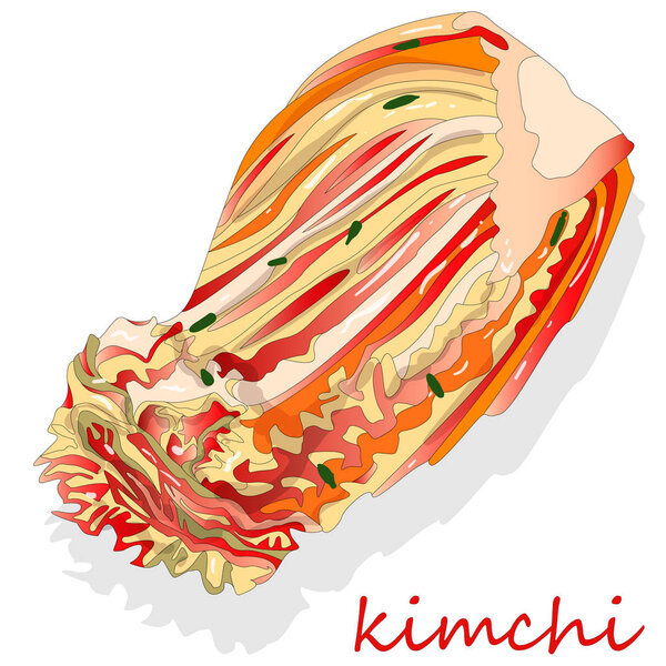Kimchi, traditional korean food. Illustration on white.
