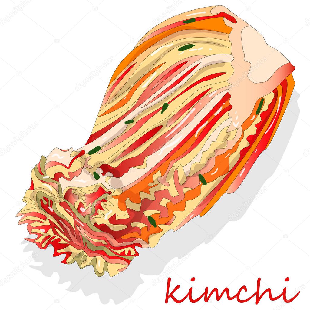 Kimchi, traditional korean food. Illustration on white.