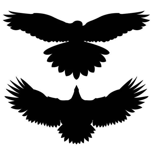 Illustration Isolée Monochrome Vecteur Volant Aigle Oiseau — Image vectorielle