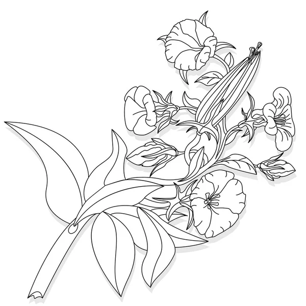 Vektorgrafik Målarbok För Vuxna Fantasy Flower Illustration — Stock vektor