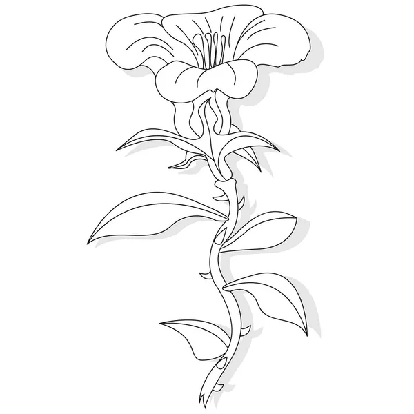 Oeuvre Vectorielle Coloriage Pour Adulte Illustration Fleurs Fantaisie — Image vectorielle