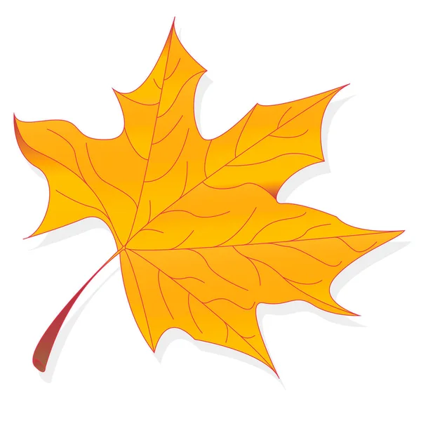 Leaf Höstens Färgglada Vektorillustration Ställa Isolerade — Stock vektor
