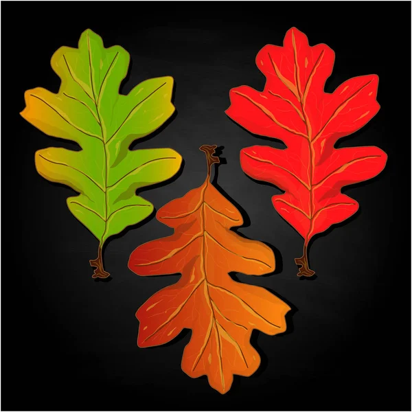 Leaf Höstens Färgglada Vektorillustration Ställa Isolerade Svart Bakgrund — Stock vektor