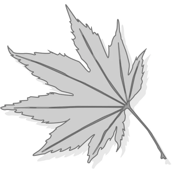 Φύλλα Φθινοπώρου Εικονογράφηση Πολύχρωμο Διάνυσμα Σύνολο Απομονωμένων — Διανυσματικό Αρχείο