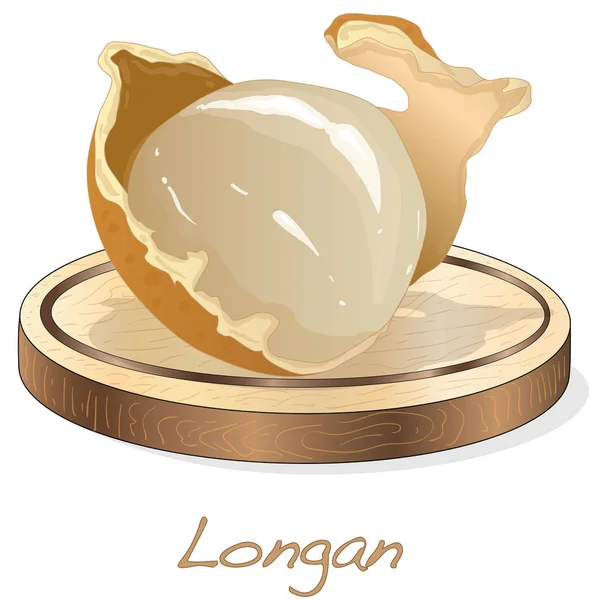 Longan Dimocarpus Longan Vector Illustration Longan Berry Plate — Stock Vector