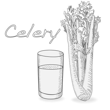 Kereviz tek renkli vektör illüstrasyon izole üzerinde beyaz backgrond.