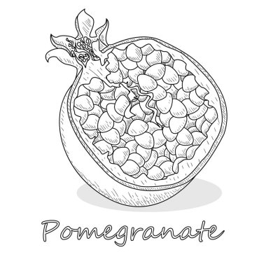 Nar el Beyaz arka plan üzerinde izole vektör çizim boğulmak. Tek renkli.