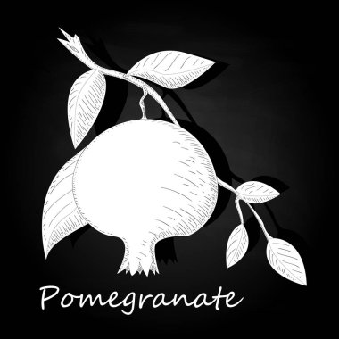 Nar el vektör illüstrasyon izole siyah arka plan üzerine boğulmak. Tek renkli.