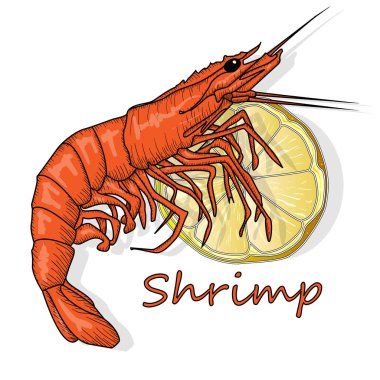 Kırmızı Karides pişmiş veya kaplan karides illüstrasyon izole beyaz arka plan üzerinde vektör