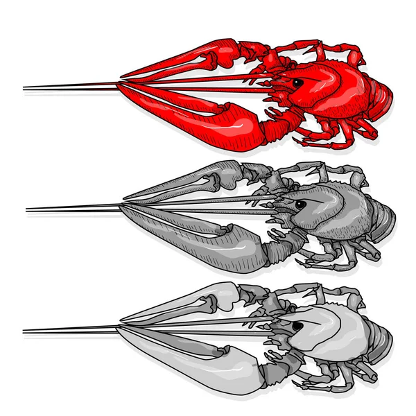 Rivierkreeft Vector Illustratie Een Witte Achtergrond Monochroom Rivierkreeft Geïsoleerd Wit — Stockvector