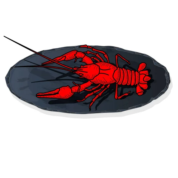 Crayfish Definido Ilustração Vetorial Prato Fundo Branco — Vetor de Stock