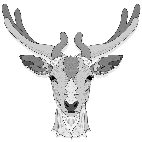 在白色背景查出的风格化鹿头向量单色例证 — 图库矢量图片