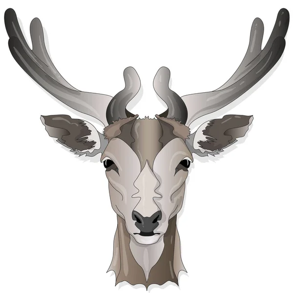 Stylized Deer Head Vector Illustration Isolated White Background — Stock Vector