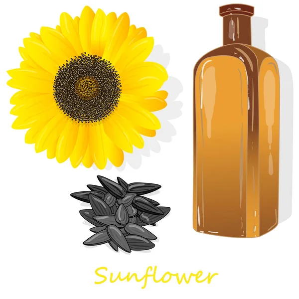Sunflower oil bottle isolated on white illustration set