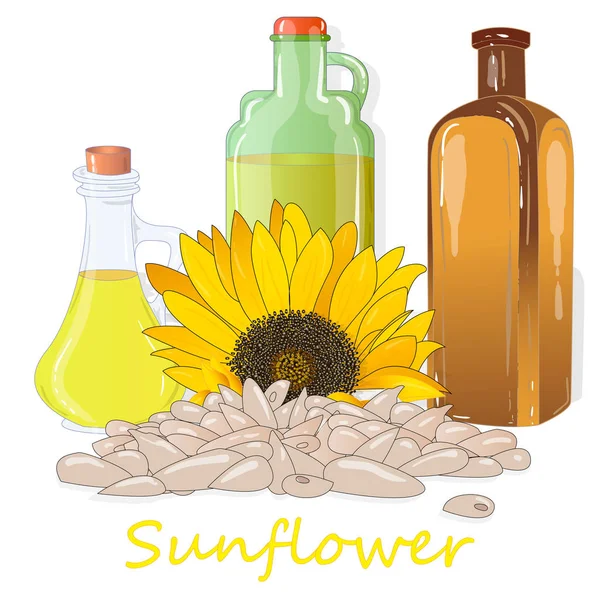 Sunflower oil bottle isolated on white illustration set