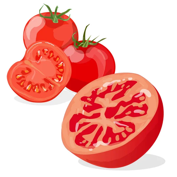 Tomate Isoliert Auf Weißem Hintergrund Illustrationsset — Stockfoto