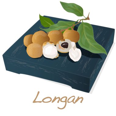 Longan, Dimocarpus longan. Longan illüstrasyon izole çanak beyaz arka plan üzerinde.