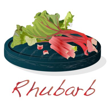 Taze ravent. Ravent leavs taş çanak üzerinde beyaz izole üzerinde. İllüstrasyon.