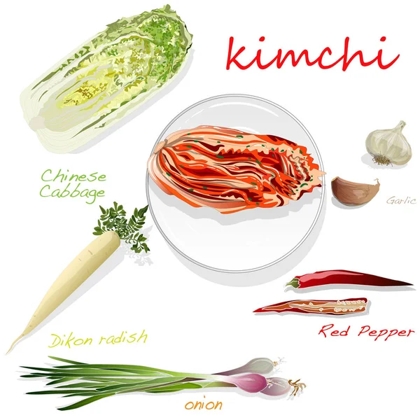 Kimchi Comida Tradicional Coreana Ilustração Sobre Branco Ingredientes Para Kimchi — Fotografia de Stock