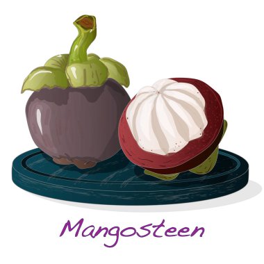 Olgun mangosteen plaka üzerinde izole. Beyaz arka plan üzerinde Compositioin. Vektör çizim.