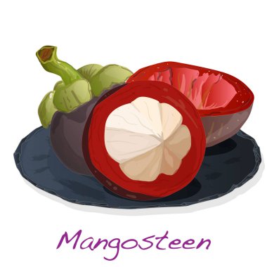 Olgun mangosteen plaka üzerinde izole. Beyaz arka plan üzerinde Compositioin. Vektör çizim.