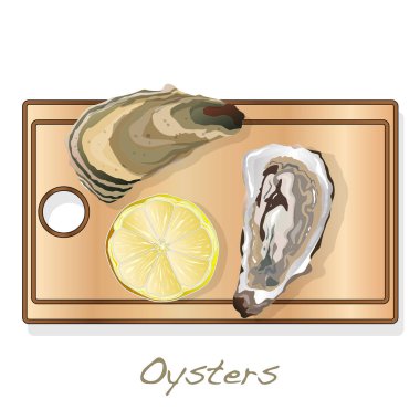 Taze görüntüleri plaka üzerinde set / izole üzerinde beyaz arka plan çanağı istiridye vectorv açıldı.