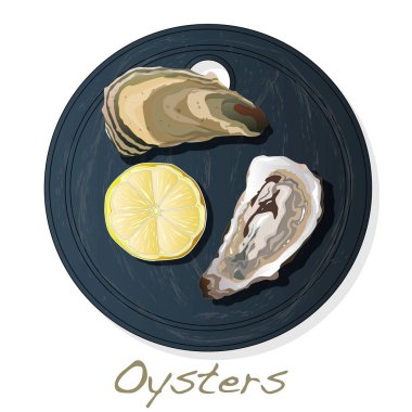 Taze görüntüleri plaka üzerinde set / izole üzerinde beyaz arka plan çanağı istiridye vectorv açıldı.