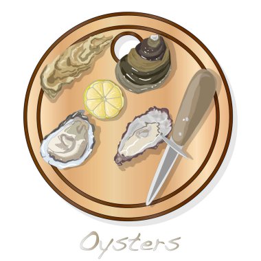 Taze görüntüleri plaka üzerinde set / izole üzerinde beyaz arka plan çanağı istiridye vectorv açıldı.