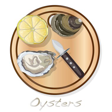 Taze görüntüleri plaka üzerinde set / izole üzerinde beyaz arka plan çanağı istiridye vectorv açıldı.