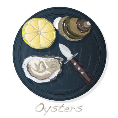 Taze görüntüleri plaka üzerinde set / izole üzerinde beyaz arka plan çanağı istiridye vectorv açıldı.