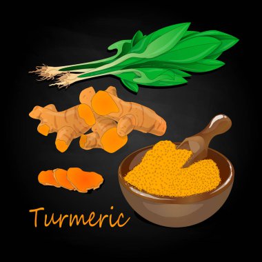 Zerdeçal (Curcuma longa Linn) plaka üzerinde ayarlayın. Siyah arka plan vektör çizim.