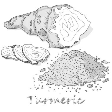 Zerdeçal (Curcuma longa Linn) toz ve beyaz arka plan üzerinde kök illüstrasyon vektör.