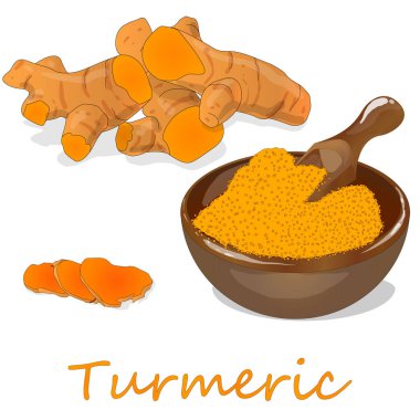 Zerdeçal (Curcuma longa Linn) toz ve beyaz arka plan üzerinde kök illüstrasyon vektör.