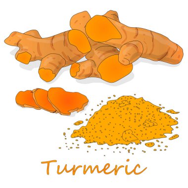 Zerdeçal (Curcuma longa Linn) toz ve beyaz arka plan üzerinde kök illüstrasyon vektör.