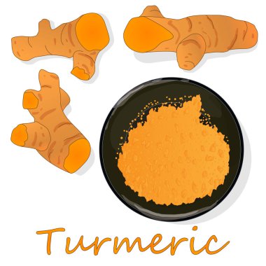 Zerdeçal (Curcuma longa Linn) plaka üzerinde ayarlayın. Beyaz arka plan vektör çizim.