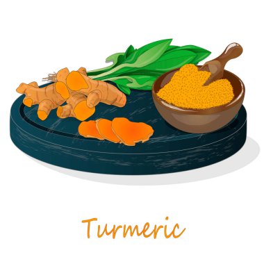 Zerdeçal (Curcuma longa Linn) plaka üzerinde ayarlayın. Beyaz arka plan vektör çizim.