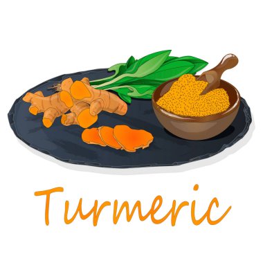 Zerdeçal (Curcuma longa Linn) plaka üzerinde ayarlayın. Beyaz arka plan vektör çizim.