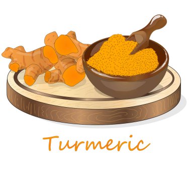Zerdeçal (Curcuma longa Linn) plaka üzerinde ayarlayın. Beyaz arka plan vektör çizim.
