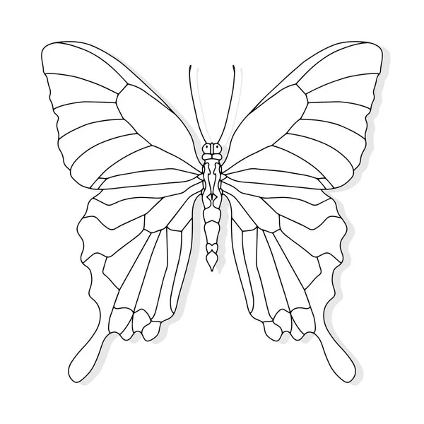 Ручная Рисованная Бабочка Дизайна Футболки Татуировки Раскраска Детей Взрослых Векторная — стоковый вектор