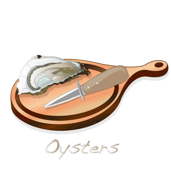 Frissen Megnyitott Oyster Vectorv Képek Lemez Étel Elszigetelt Fehér Háttér — Stock Vector