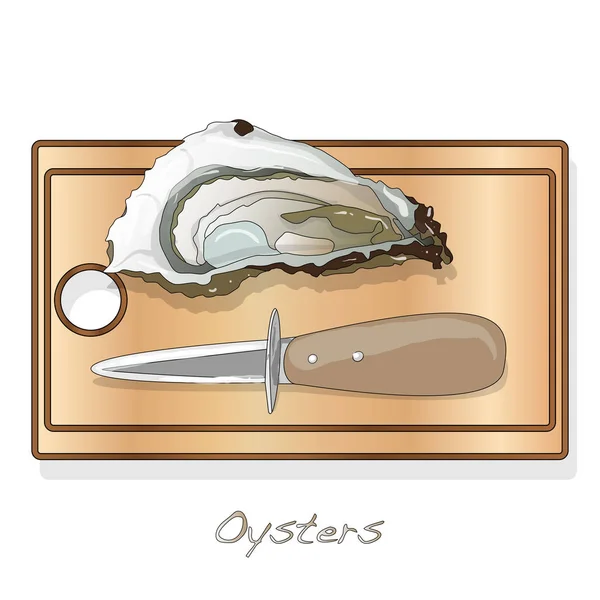 Frissen Megnyitott Oyster Vectorv Képek Lemez Étel Elszigetelt Fehér Háttér — Stock Vector