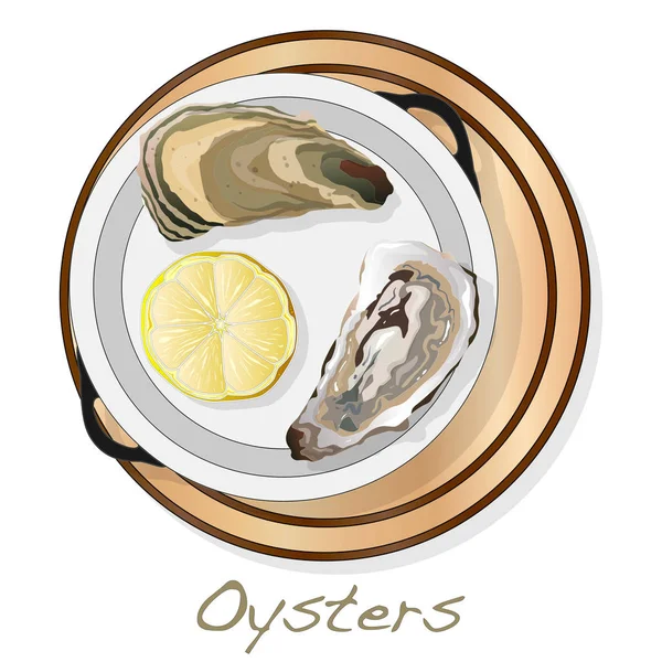 Frissen Megnyitott Oyster Vectorv Képek Lemez Étel Elszigetelt Fehér Háttér — Stock Vector